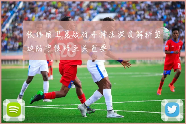 张伟丽卫冕战对手摔法深度解析笼边防守技巧至关重要